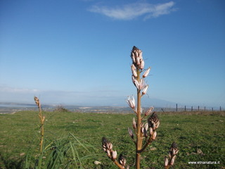 tapiccola-13-01-2013 09-15-51